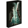 Obraz LED svietiace 30x40, Harry potter - Harry vs. Voldemort