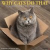 Why Cats Do That 12 X 12 Wall 2026