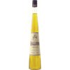 Galliano Vanilla 30% 0,7 l (čistá fľaša)