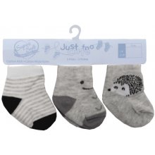 Just Too Cute 3pack chlapčenských ponožiek Ježko a prúžky viacfarebná