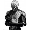 Plagát, Obraz - Spider-man, 61 × 91.5 cm