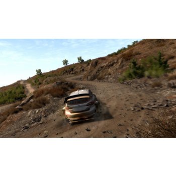 WRC 8 (Deluxe Edition)