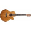 Tanglewood TW4 E VC PW