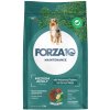 Forza 10 Maintenance Medium s jelením mäsom & zemiakmi - 12 kg