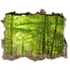 Díra 3D ve zdi na stěnu Listnatý les 95x64 cm