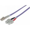 Intellinet 751056