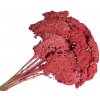 Sušené kvety Rebríček - Achillea 90g - vintage červená