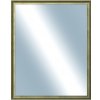 DANTIK - Zrkadlo v rámu, rozmer s rámom 80x100 cm z lišty Ferrosa zlatá (3142)