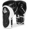 BUSHIDO Boxerské rukavice DBX BB5 - 14oz