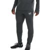 Under Armour Trainingshose Grau