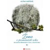 Žena v proměnách roku