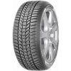 Sava 205/55R17 95V, Sava, ESKIMO HP2