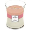 WoodWick Vonná sviečka váza Trilogy Blooming Orchard 275 g