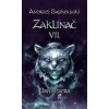 Zaklínač VII. - Paní jezera