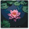 Vymalujsisam.sk Maľovanie podľa čísiel - Ružový lotosový kvet Veľkosť: 50x50cm, Rám: Okrúhly rám