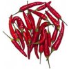 Paprika - chili papričky červené