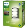Philips 8719514417618 Python vonkajšie nástenné svietidlo LED 6W/500lm 4000K IP44 antracit