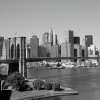 Dimex fototapeta Manhattan Šedý L-309 | 220 x 220 cm (Vliesová fototapeta | lepidlo zdarma)