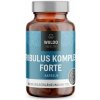 WoldoHealth Tribulus komplex forte, 90 kapsúl