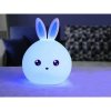 24071 DR Detská LED nočná lampička na baterky - Zajačik
