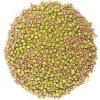 Zdravý den Zmes semien na klíčenie BIO alfalfa reďkovka mungo 200 g