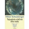 Tajuplná a léčivá síla vody