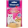 Vitakraft Cat pochoutka Crispy Crunch sladový 60g