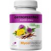 Mycomedica Pestrec 90 kapsúl