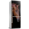 Nálepka fototapeta chladnička Portrét koňa 60x180 cm