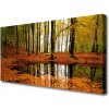 Obraz na plátne Les príroda 100x50 cm