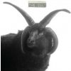 Cult - Cult [CD]