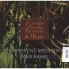 Jak správně meditovat - Kaisen Mistr