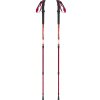 Trekingové palice inSPORTline Altiplano 100 Pair červené