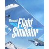 Microsoft Flight Simulator - XPA