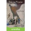 E-kniha Dom na Myjave - Jozef Kollár