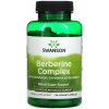Swanson Berberín komplex so škoricou, Gymnema a senovka grécka - 90 veg. kapsúl