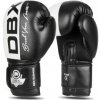 Boxerské rukavice DBX BUSHIDO B-2v20