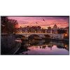 Samsung SMART Signage LED QB43C 43