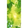 Dimex fototapeta Zelené listy S-475 | 110 x 220 cm (Vliesová fototapeta | lepidlo zdarma)