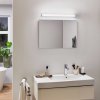 Paulmann HomeSpa Luno LED zrkadlové svetlo, 60 cm - 78949