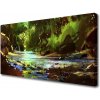 Obraz na plátne Les jazero kamene príroda 100x50 cm