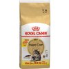 Royal Canin granuly pre mačky, 10 + 2 kg zdarma! - Maine Coon Adult