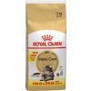 Royal Canin, 10 + 2 kg zdarma! - Maine Coon Adult