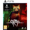 Stray