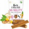 Brit Dental Stick Mobility Curcuma & Collagen 251 g