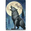 Vymalujsisam.sk Maľovanie podľa čísiel - Vlk v noci Veľkosť: 20x30cm, Rám: Bez rámu, iba zrolované plátno
