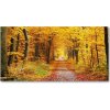 Foto obraz akrylový Jesenný les 100x50 cm