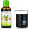 Dračia krv kvapky (tinktúra) 50 ml