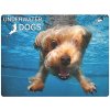 Prime3D magnet - Brady 9 x 7 cm