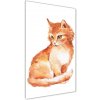 Vertikálny fotoobraz na skle Červená mačka 50x100 cm